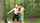 blond ass forest