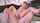 blond blonde hot