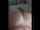 blowjob amateur latina