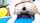 camgirl squirt buttplug