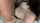 couple blowjob longhair