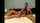 cam camgirl brunette