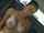 amateur great tits blonde