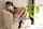 asian gravure white socks
