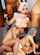 gangbang blowjob cumshot
