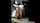 assforlunch mike adriano xvideos