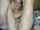 chaturbate camgirl virgin