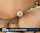 mature secretary japan