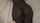 ebony ass pussy