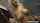 tease mature public