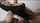couple cam camgirl