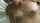 amateur cumshot body