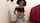 cam camgirl ebony