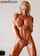 fit fitness muscle
