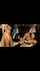 milf stripper latina