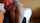 couple spanking amateur