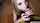 blondie blond twitter