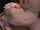 pornstar japanese hardcore