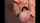 gape anal ass