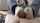 cuckold foootjob teen