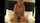 amateur milf mautre