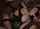 threesome group sex brunette
