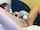 chubby masturbation masturbate