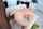 bbc anal rough