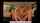 reverse cowgirl anal blonde