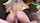 amateur teen doggy