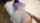 creampie doggy style pov