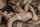 cheating milf wife