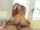 blonde blowjob caucasian