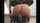 bdsm bondage mistress
