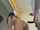 couple interracial blowjob