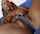bdsm blonde hairy