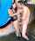 bangbros outdoors asian