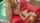 red sofa anal blonde