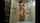 cam webcam camgirl
