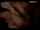 amateur riding camgirl