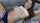 cam chaturbate cute