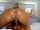cam cam girl pawg