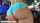 bangbros ass fat ass