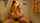 amateur homemade couple