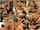 anal blond big tits