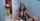 camgirl ohmibod brunette