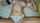 amateur teen novinha