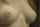 tits boobs video