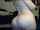 blond camgirl amateur