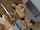 strip dance webcam